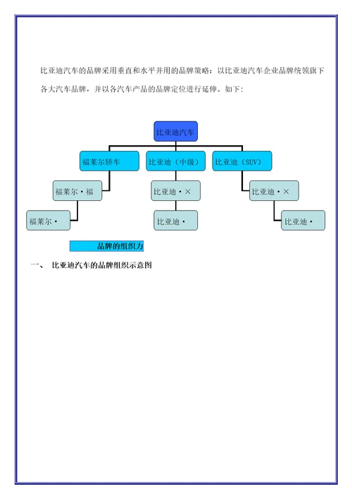 比亚迪汽车品牌策划操作纲要