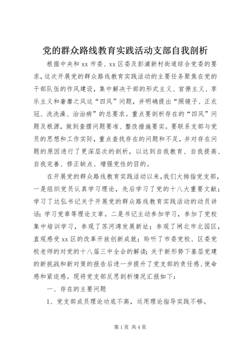 党的群众路线教育实践活动支部自我剖析.docx