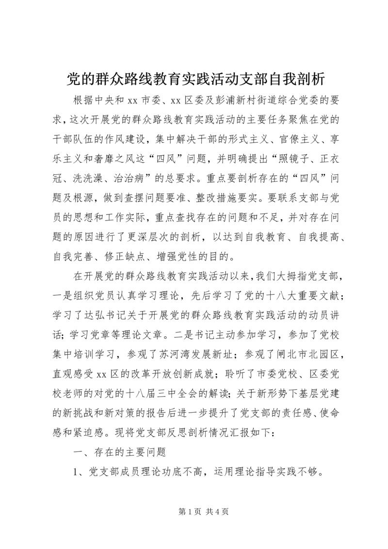 党的群众路线教育实践活动支部自我剖析.docx