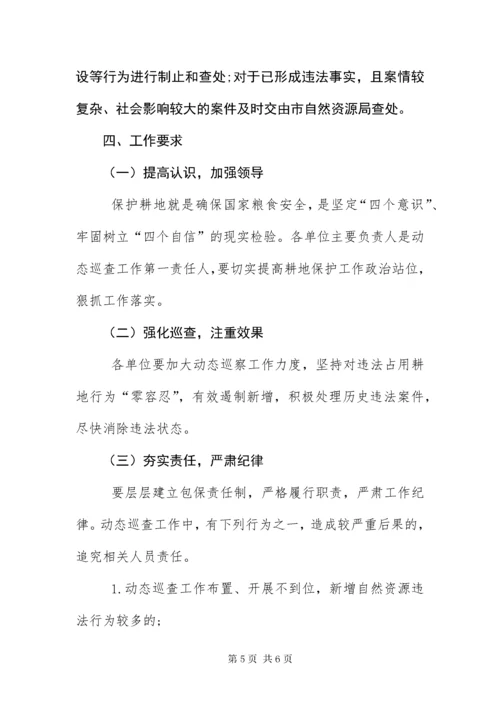 8自然资源执法监察动态巡查工作方案.docx