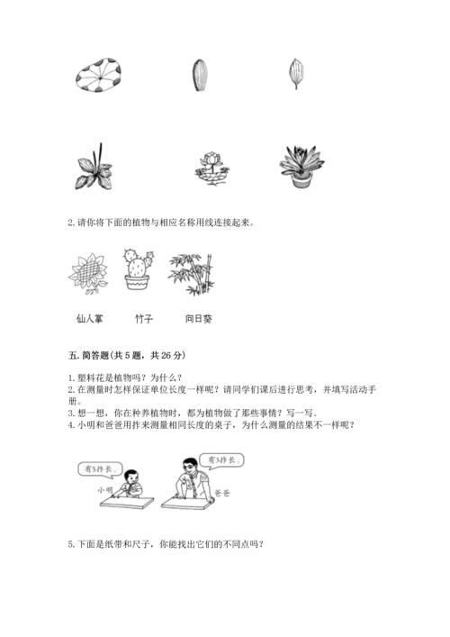 教科版一年级上册科学期末测试卷加解析答案.docx