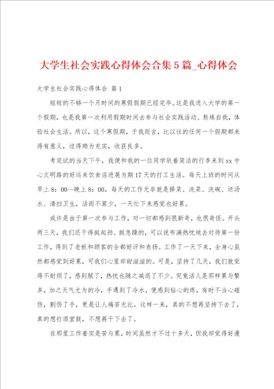 大学生社会实践心得体会合集5篇