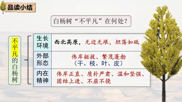 15 白杨礼赞 课件
