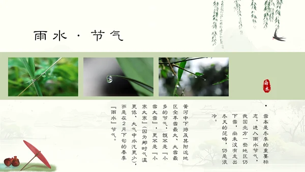 雨水节气谷雨通用PPT模板