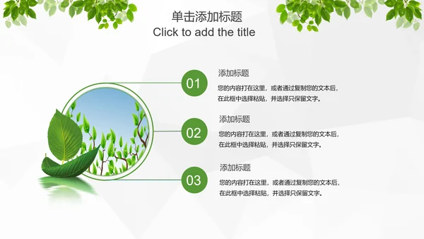 绿色环保低碳生态文明建设树叶PPT模板