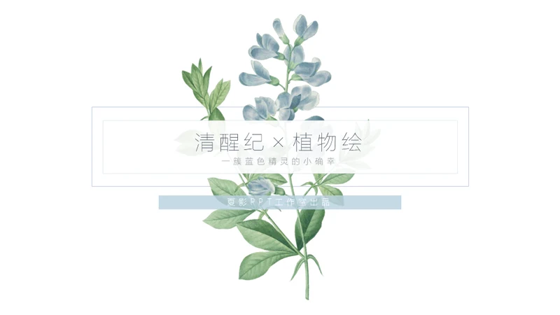 清醒纪植物绘小清新文艺女青年通用PPT模板
