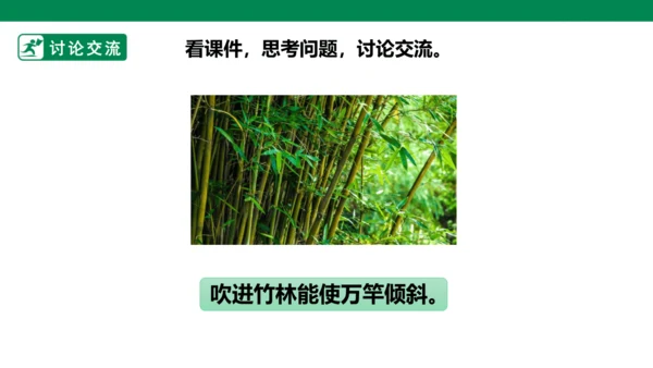 部编1A 第8单元 第11课 会写的字与单元阅读 课件