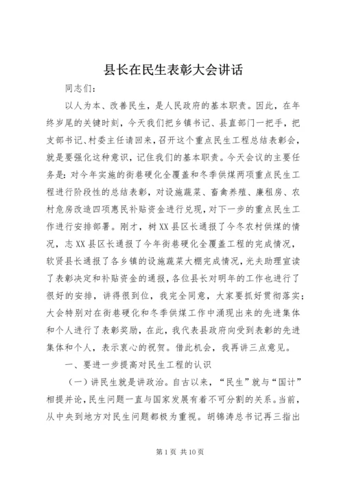 县长在民生表彰大会讲话.docx