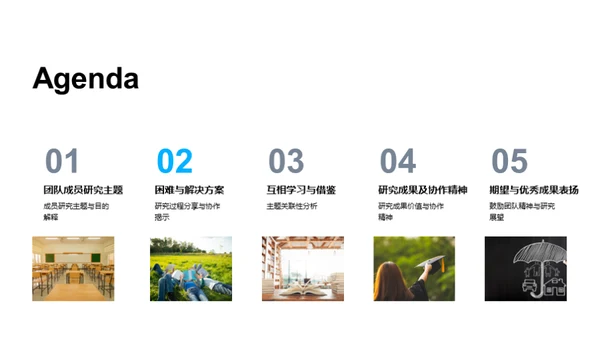 团队协作研究总结