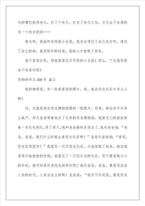 2022写物的作文300字94