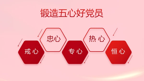 红色党支部党员代表大会工作总结PPT