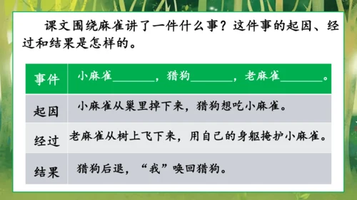 16 麻雀   课件