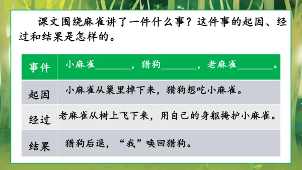 16 麻雀   课件