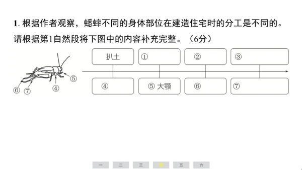 统编版语文四年级上册（江苏专用）第三单元素养测评卷课件