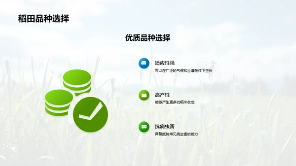 稻田科学种植