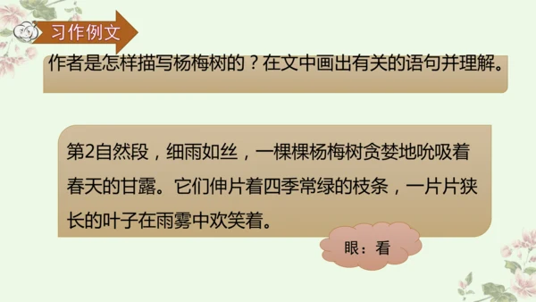 第五单元习作例文我爱故乡的杨梅