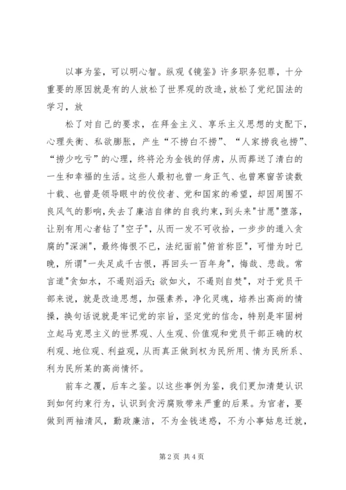 《镜鉴》读后感 (4).docx