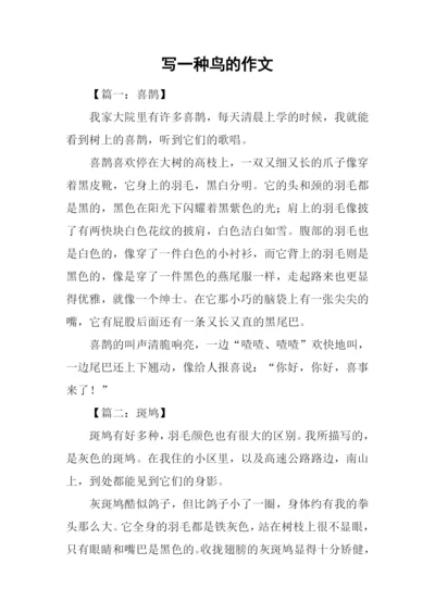 写一种鸟的作文.docx