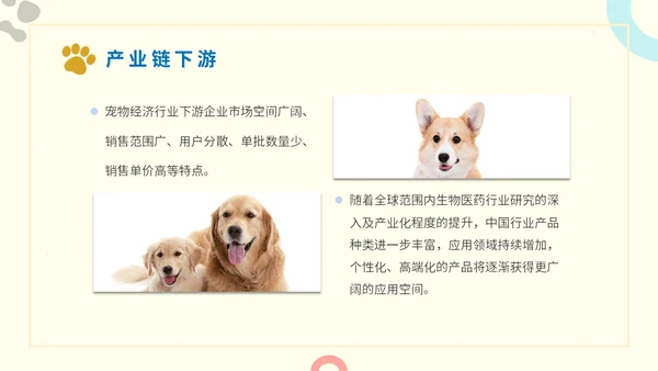简约实图狗宠物经济行业前景分析报告汇报模板