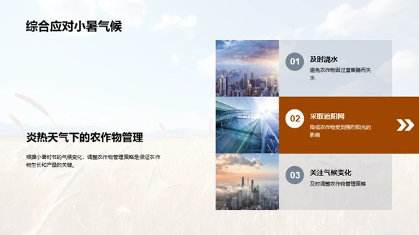 小暑气候与农业管理