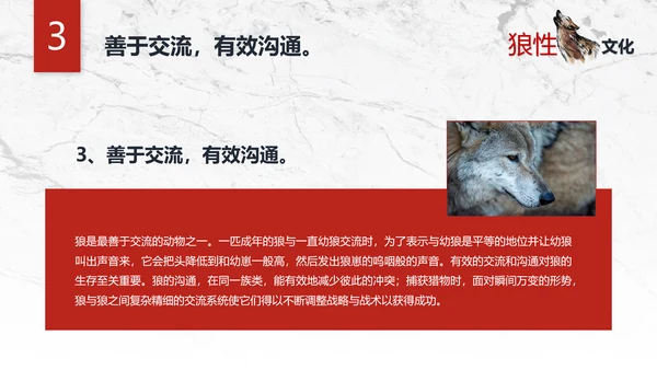 团队企业文化狼性文化员工培训PPT