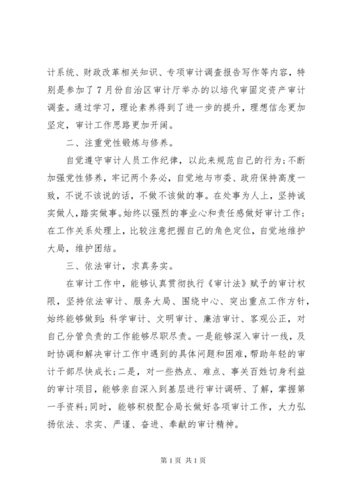 年终审计个人工作总结范文.docx