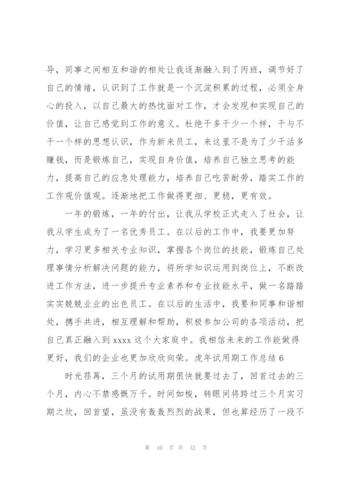 虎年试用期工作总结.docx