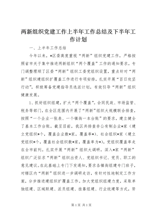 两新组织党建工作上半年工作总结及下半年工作计划.docx