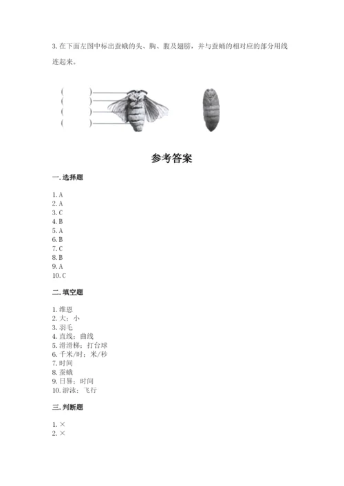 教科版科学三年级下册 期末测试卷精品（实用）.docx