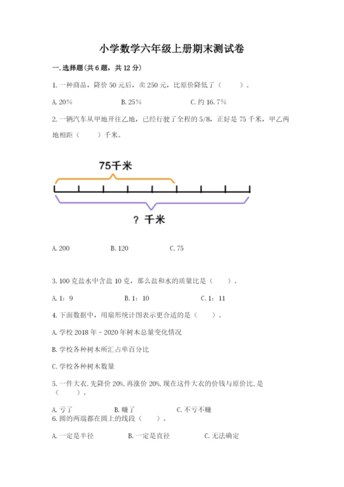 小学数学六年级上册期末测试卷（突破训练）word版.docx