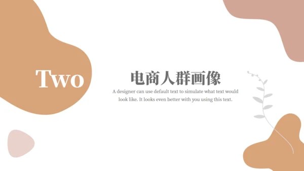 电商行业分析报告通用PPT模板