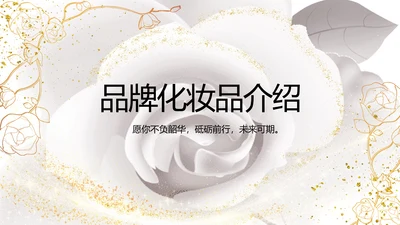 公司企业品牌化妆品介绍宣传PPT