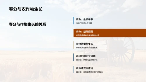 春分农耕的天文奥秘