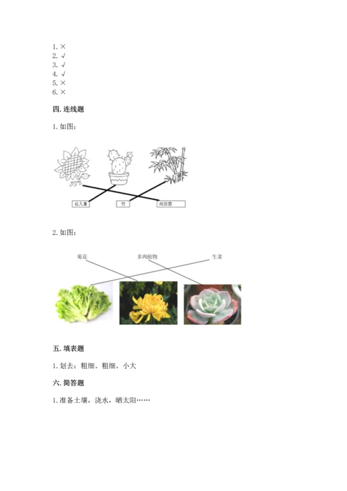 教科版科学一年级上册第一单元《植物》测试卷附参考答案【能力提升】.docx