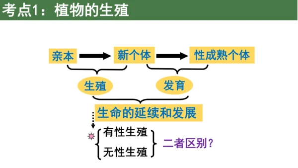 八下 第七单元复习课件(共58张PPT)