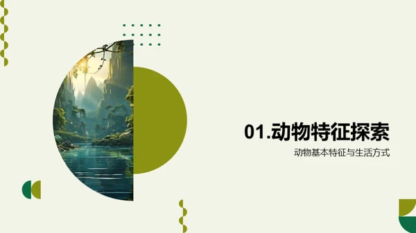 探秘动物世界