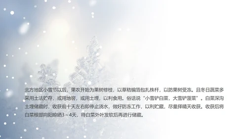 蓝色小清新小雪节气PPT模板