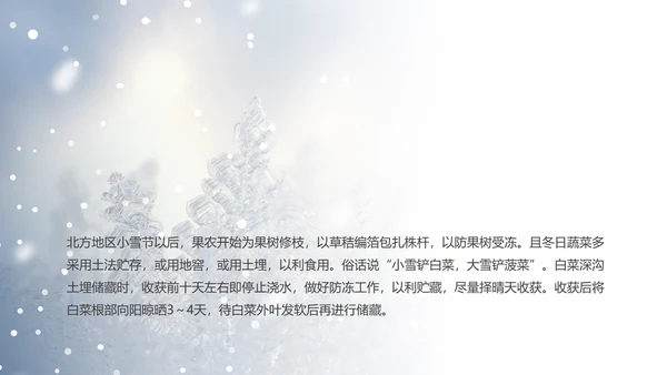 蓝色小清新小雪节气PPT模板