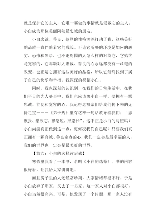 小白的选择读后感作文.docx