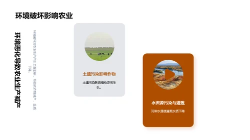 农业生态保护策略