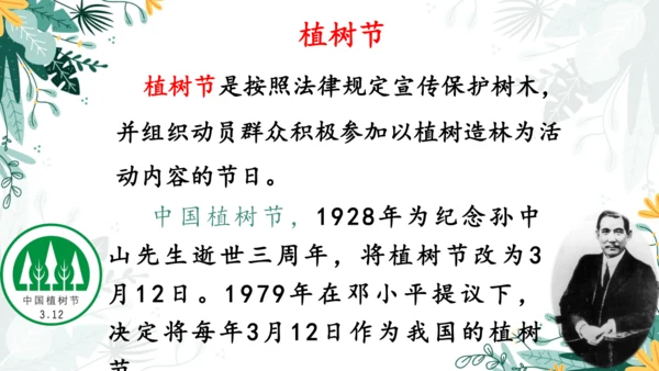 4.邓小平爷爷植树（第一课时）  课件