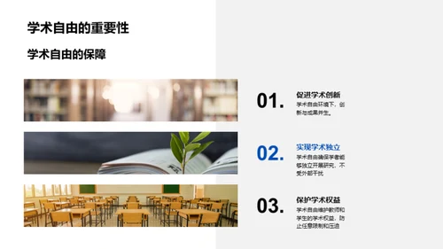 大学教育全景解析