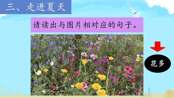 第20课《美丽的小兴安岭》课件