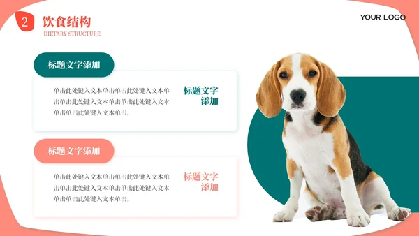 莫兰迪色卡通风宠物饲养心得经验分享PPT模板