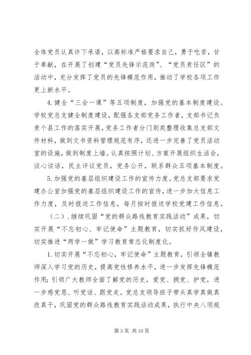 学校党支部自检自查报告.docx