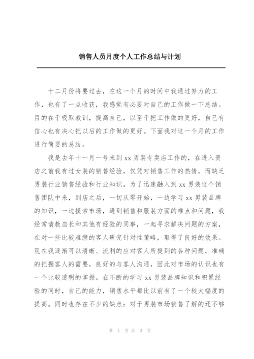 销售人员月度个人工作总结与计划.docx