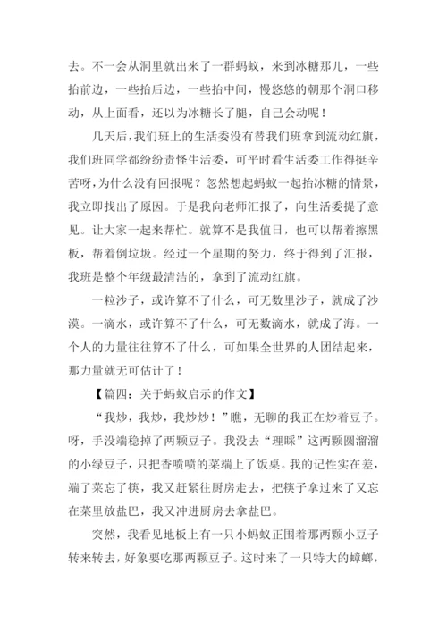 关于蚂蚁启示的作文.docx