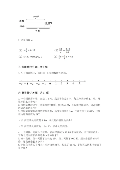 石家庄市鹿泉市六年级下册数学期末测试卷完整版.docx