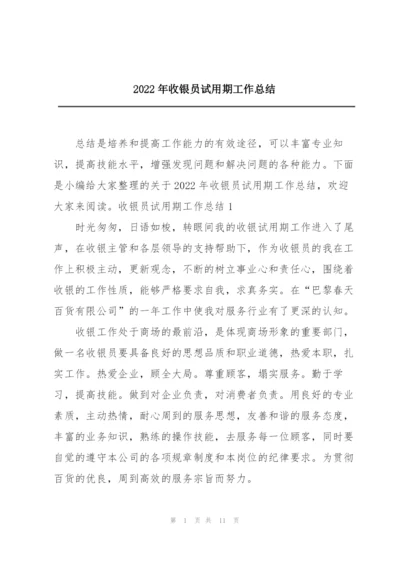 2022年收银员试用期工作总结.docx