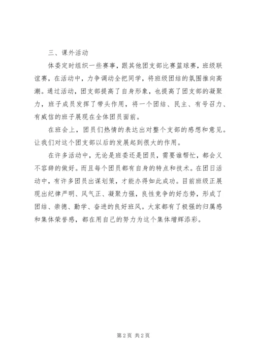 团支部自查工作报告.docx